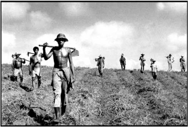 Ley de Reforma Agraria