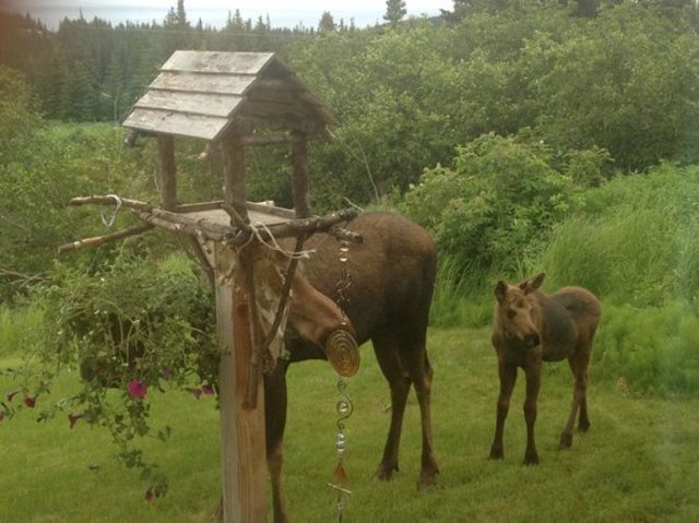 First Artificial Heart Prototype