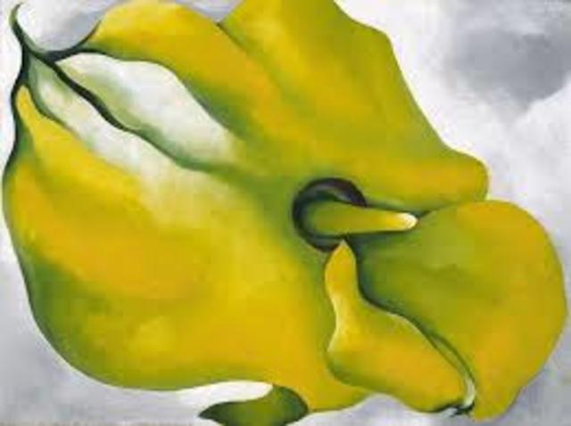 Yellow Calla