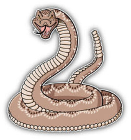 rattlesnake bite