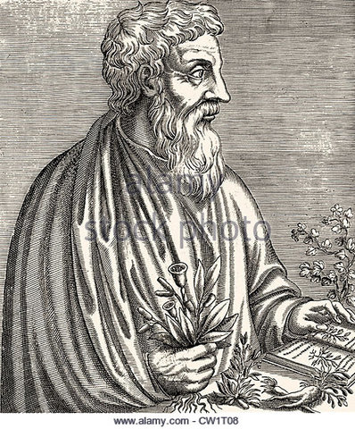 Pedanio Dioscórides Anazarbeo