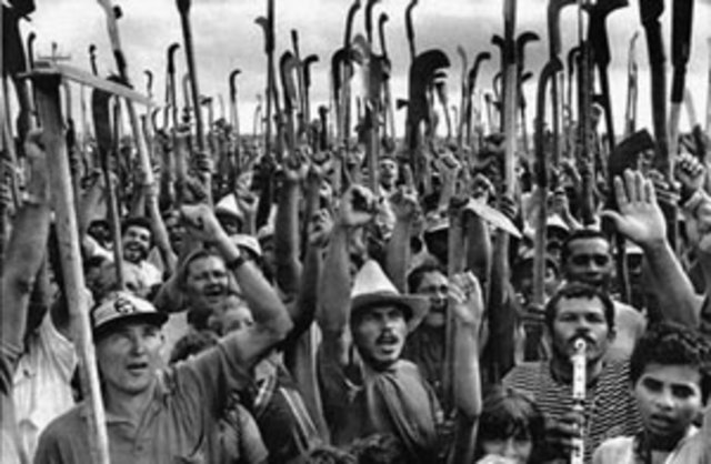 disminución de reformas, la campesina progresa bien