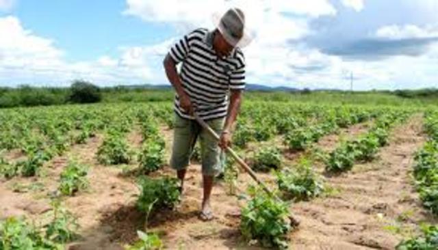 el Instituto de Fomento Industrial