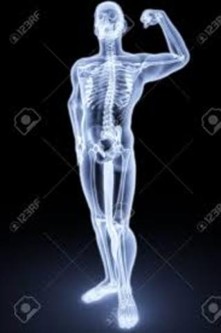 Cuerpo humano en Rayos X y nuevas ramas de la ciencia.