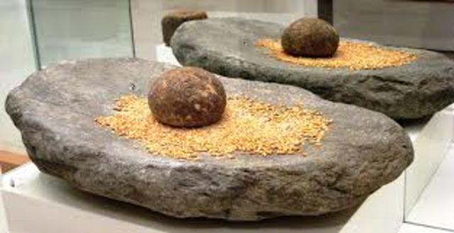 Neolithic Quern-stones