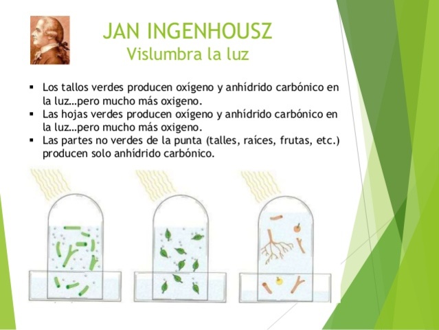 1799 Jan Ingenhousz Precursor de la fotosíntesis