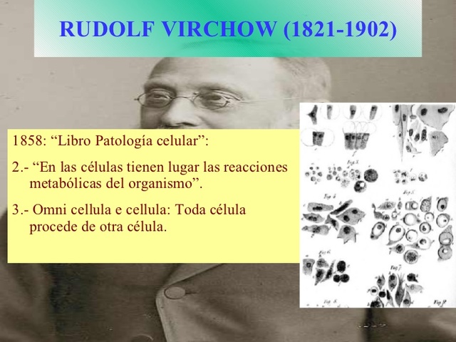 1858 Rudolf Virchow