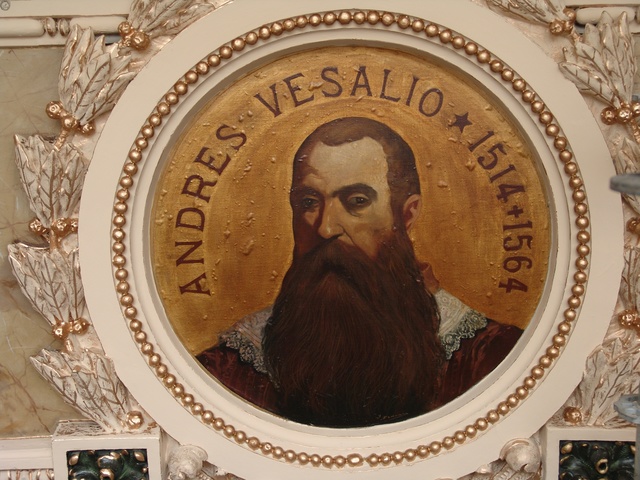 ANDRES VESALIOS ( 1514 - 1564)