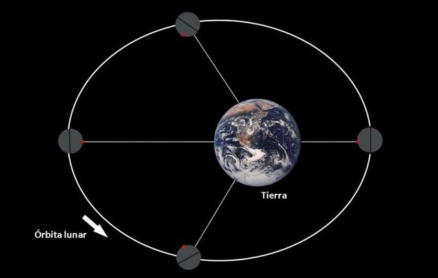 Hooke publicó un tratado en el que afirmaba que el movimiento orbital de la Luna era el resultado de combinar la tendencia de su movimiento a seguir en línea recta, con una única fuerza atractiva ejercida por la Tierra