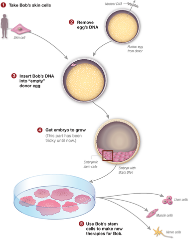 New Scientific goal reached