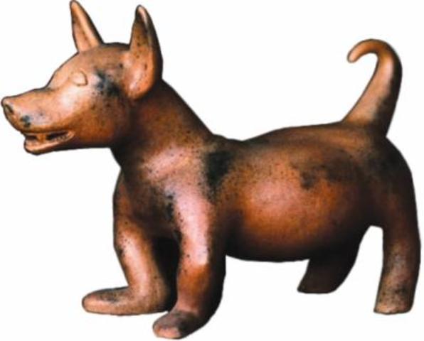 Artesanías y domesticación de animales