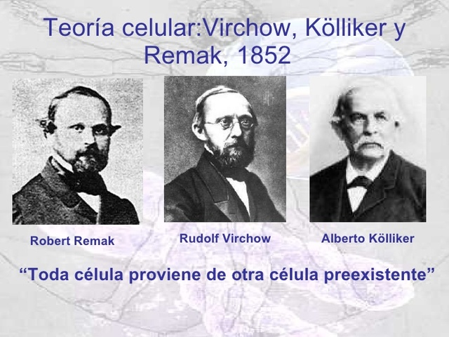 VIRCHOW, REMAK,KOLLIKER
