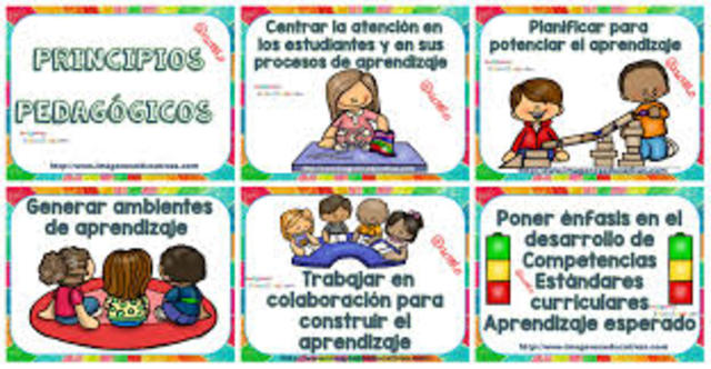 principios pedagógicos