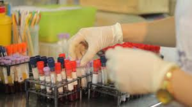 Seccion de Biologia Vegetal