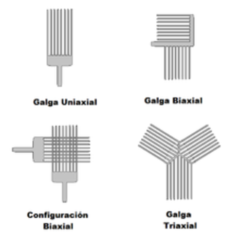 Creación de la Electrogalga