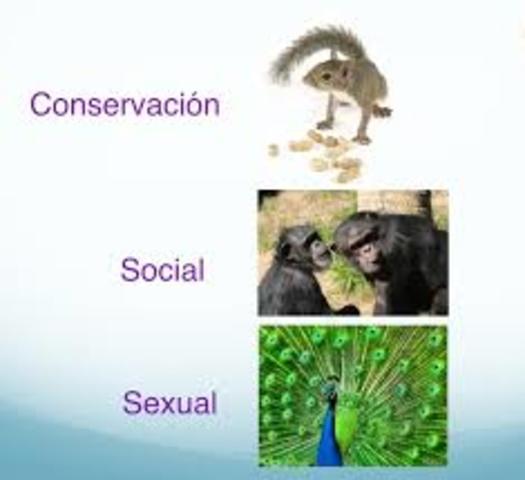 Qué es y qué no es natural