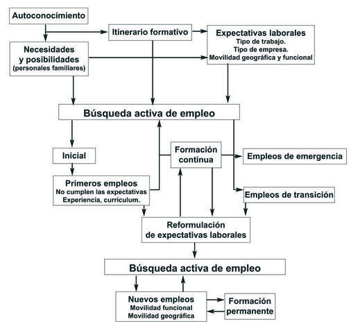 6º. Elaboración del esquema de trabajo.