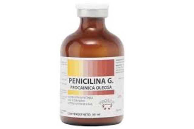 LA PENICILINA
