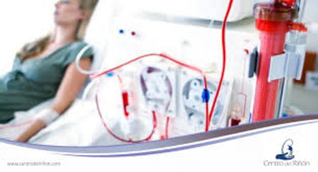 El comité de Seattle y Shana Alexander