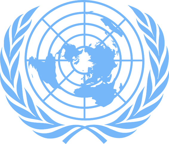 Carta mundial de la ONU.