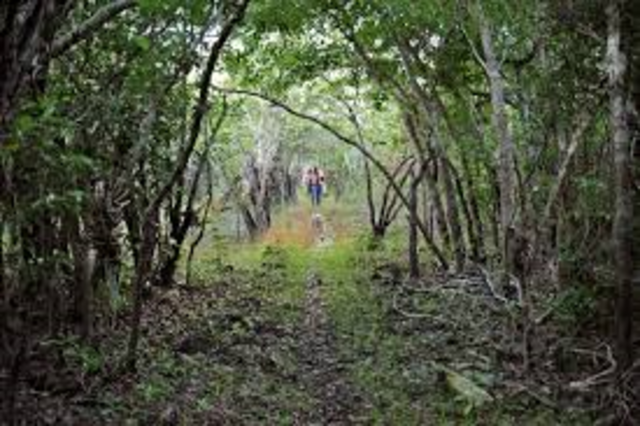 Reserva Ecologica del Eden.