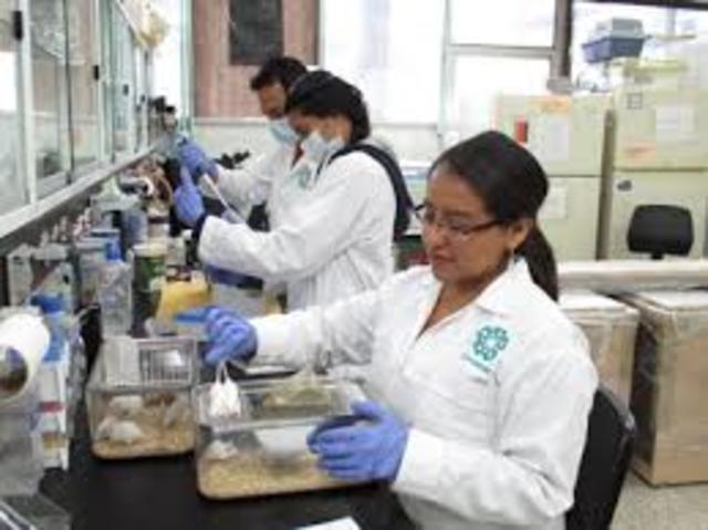 Laboratorio Experimental de Inmunología