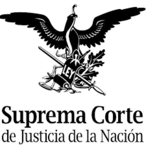 CRITERIO DE LA SCJN DEL DERECHO DE ACCESO A LA INFORMACIÓN