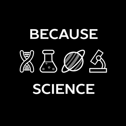 Sputnik and NDEA, 1957-58