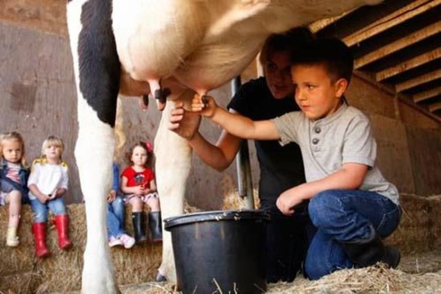 The Impact of John Dewey