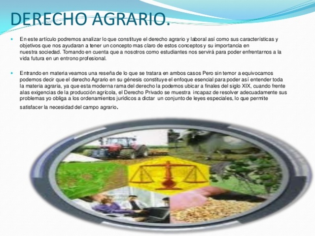 Reparto de tierras y los diversos  tipos de propiedad