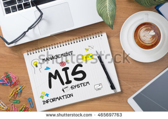 Inicia el concepto de Management Information System (MIS)