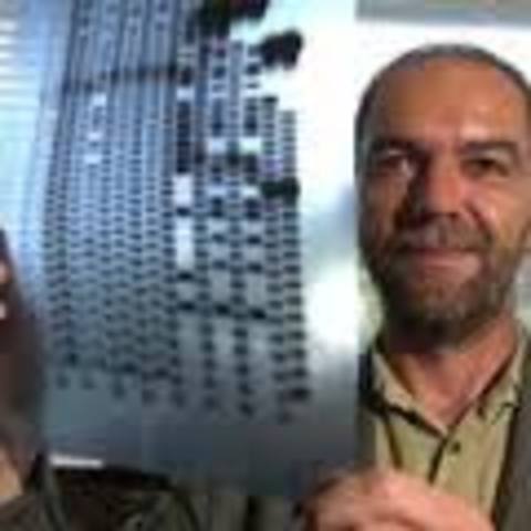 Alec Jeffreys devises a genetic fingerprinting method.