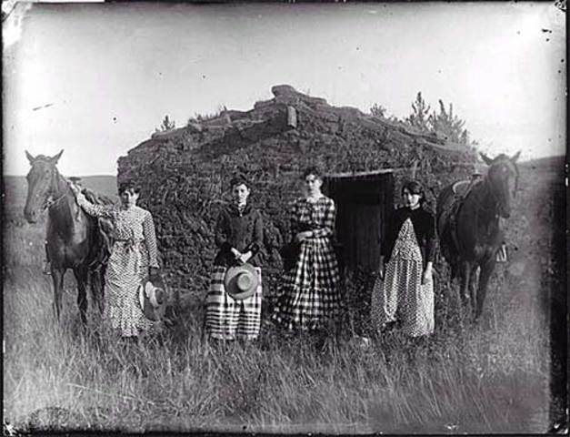 The Homestead Act