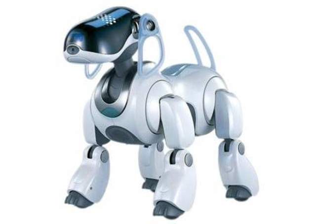 AIBO