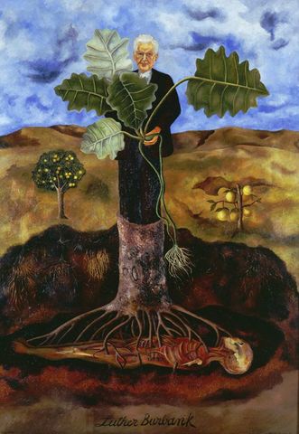 Incluye elemento surrealista en su pintura