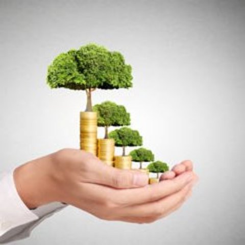 Savings Account Opened at Birth