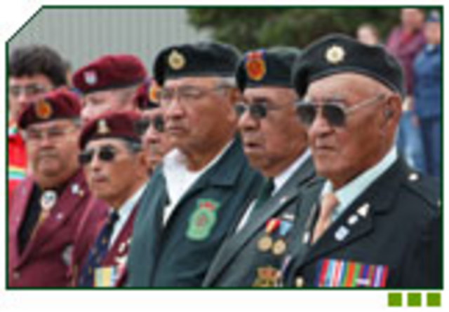 They tried to enfranchise native war veterans against their will