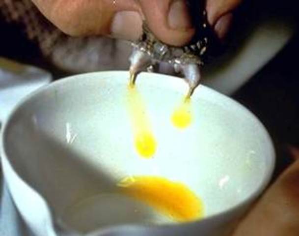 Antídoto contra el veneno de serpiente de cascabel