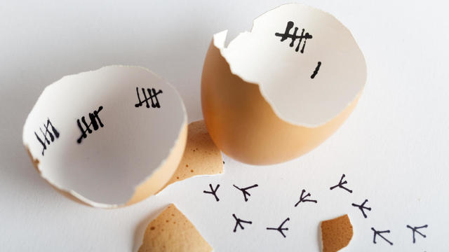 EL HUEVO COMO ORIGEN DE LAS COSAS