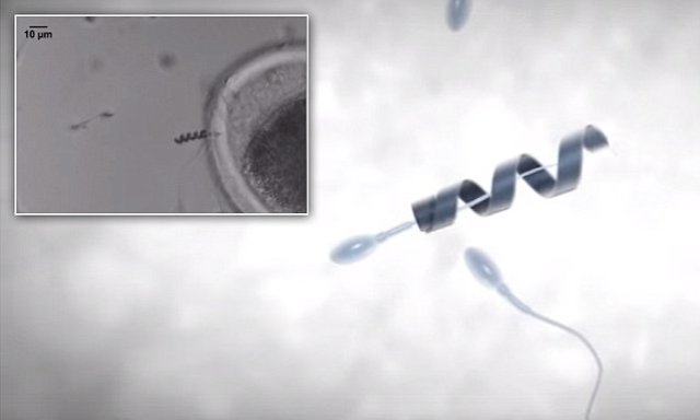 DESCRIPCIÓN DE LA CÉLULA HUMANA