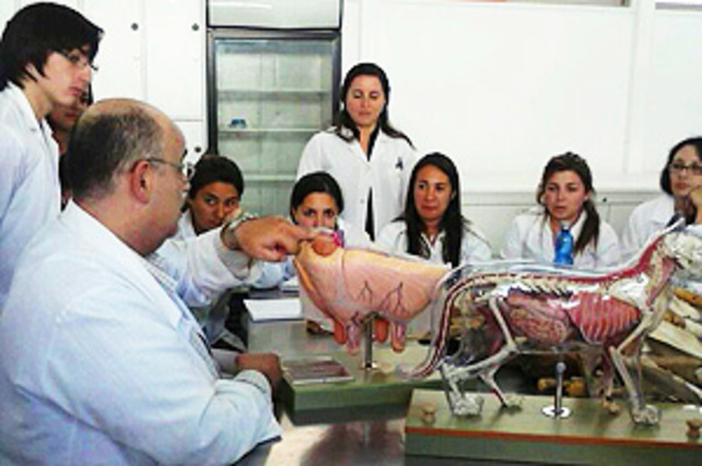 primera escuela veterinaria en el mundo