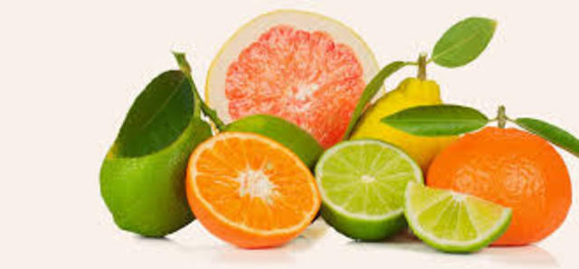 discovered citrus fruits prevent scurvy