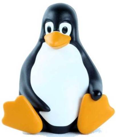 Lenguaje De Programación Núcleo Linux