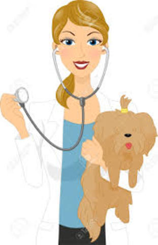 veterinarian