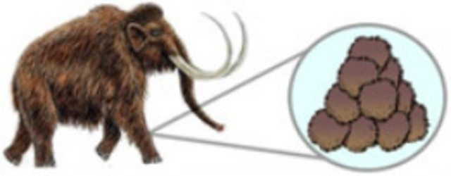 Pre-Scientific DEMOCRITUS