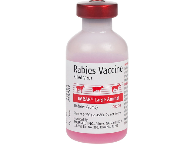 First vaccine for rabies was created