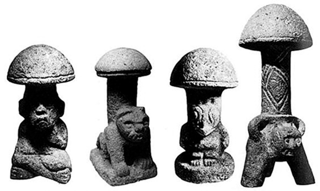 Hongos en mesoamerica