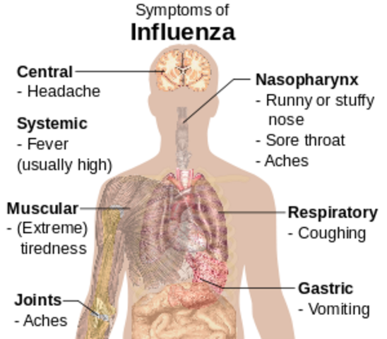 first vaccine for influenza