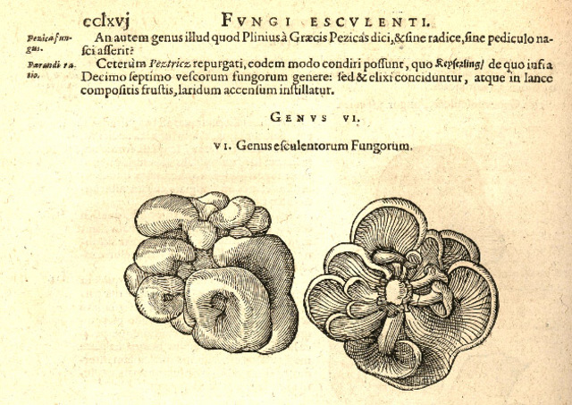 Charles de L'Esclese