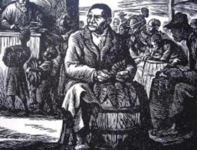 ELECCIONES FEDERALES